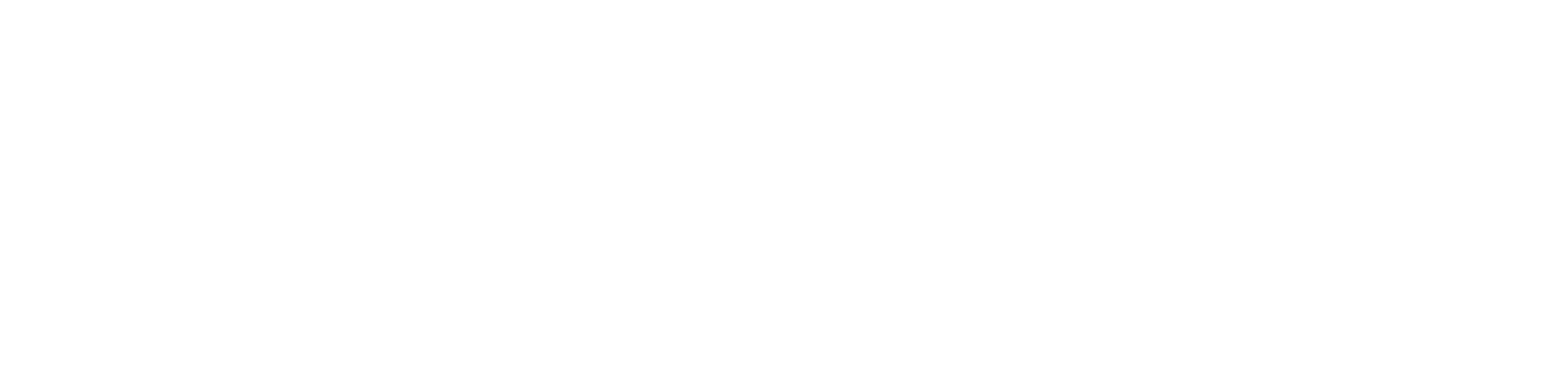 Flava_Logo_NEG